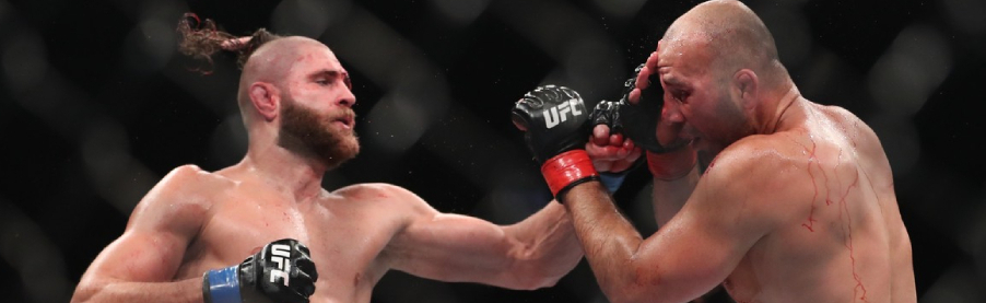 Jiří Procházka v UFC