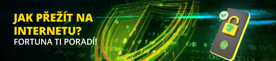 Fortuna radí, jak na internet!